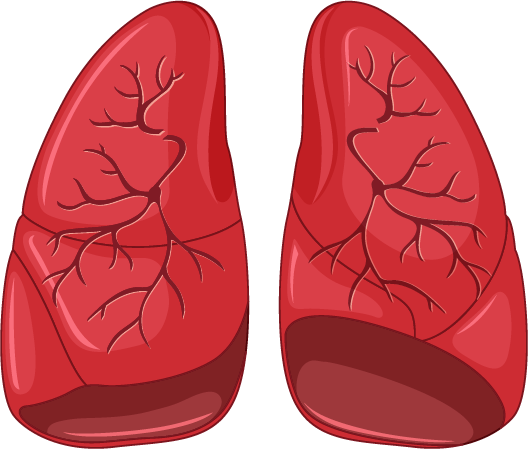lungs icon