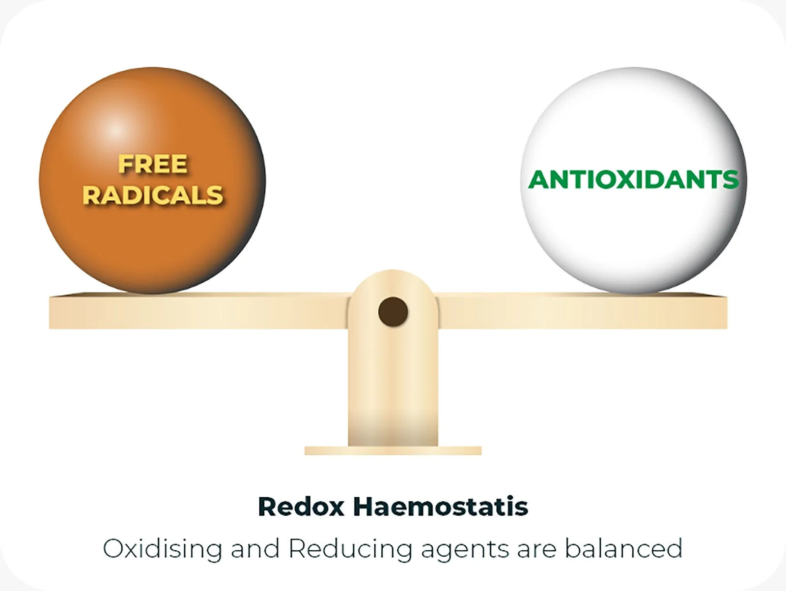Balance between free radicals and antioxidants