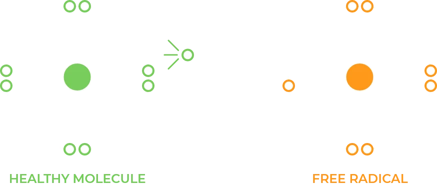 Free Radical Formation