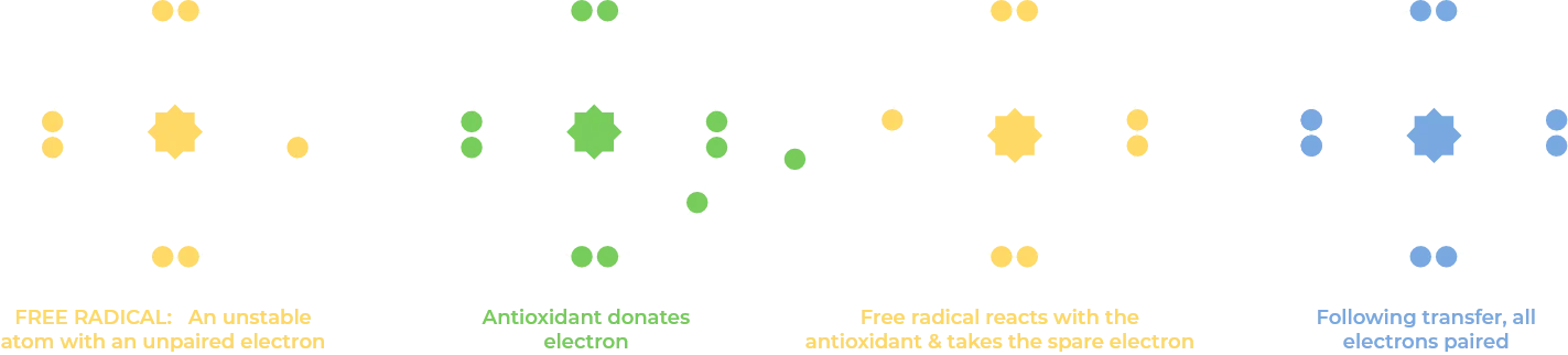Reactive Oxygen Species