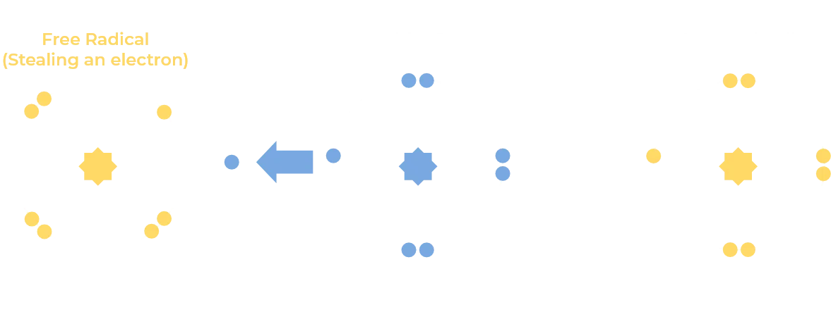 Oxidative Stress